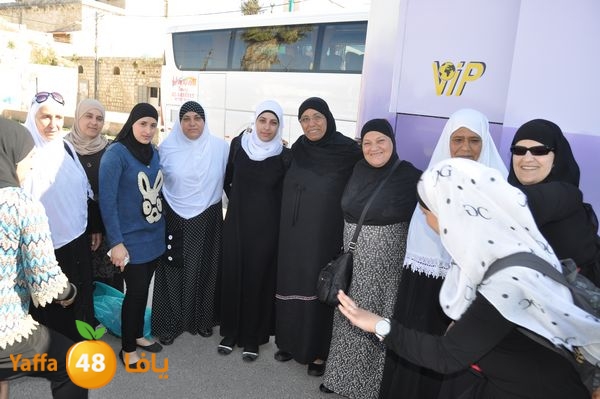 3omraludbacknew442n2 (11).JPG